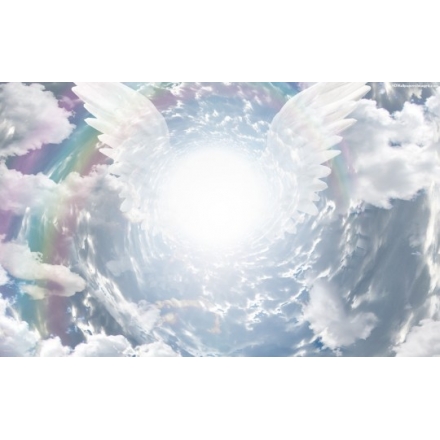 Angelic Reiki Professional Practitioner