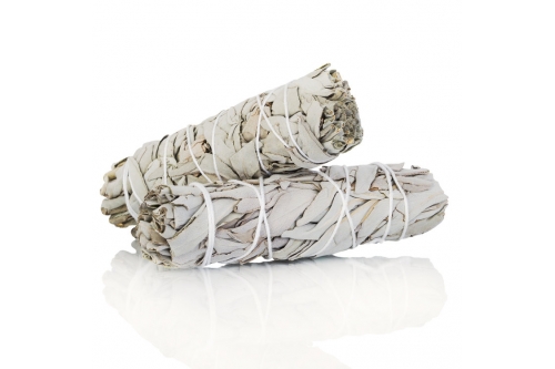 California White Sage (4") - 3 Bundles 